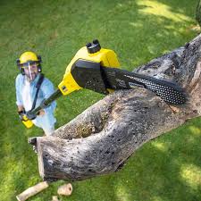 Fairview, OK Tree Removal and Landscaping Services Company